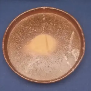 プレート皿 B.24.4